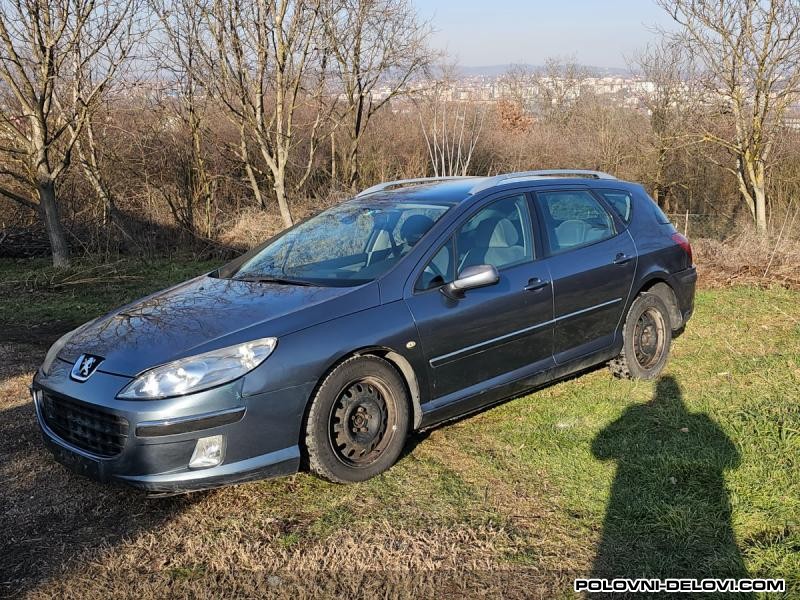 Peugeot  407  Stakla