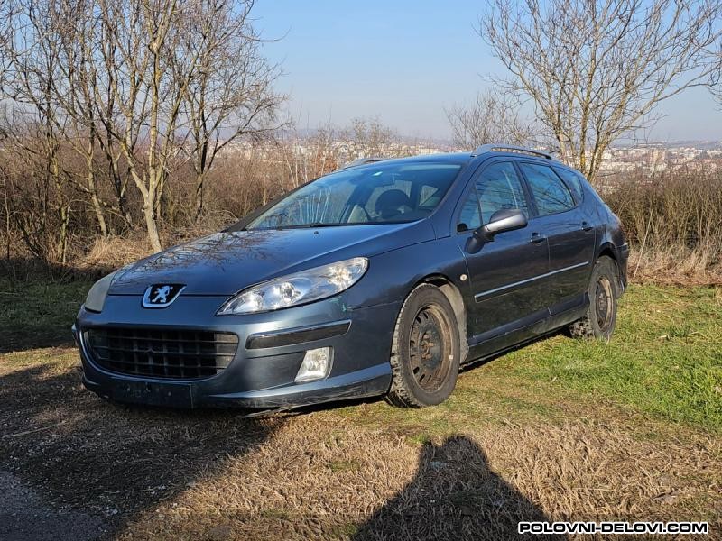 Peugeot  407  Stakla
