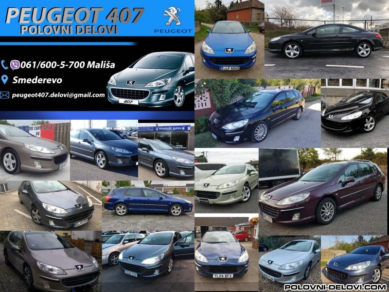 Peugeot  407  Stakla