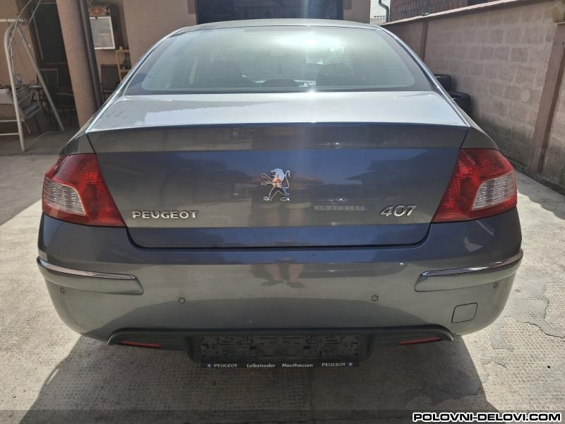 Peugeot  407  Svetla I Signalizacija