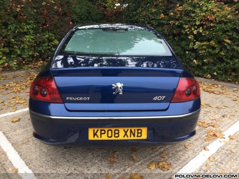 Peugeot  407  Svetla I Signalizacija