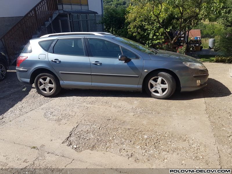 Peugeot  407 Svi Motori Razni Delovi