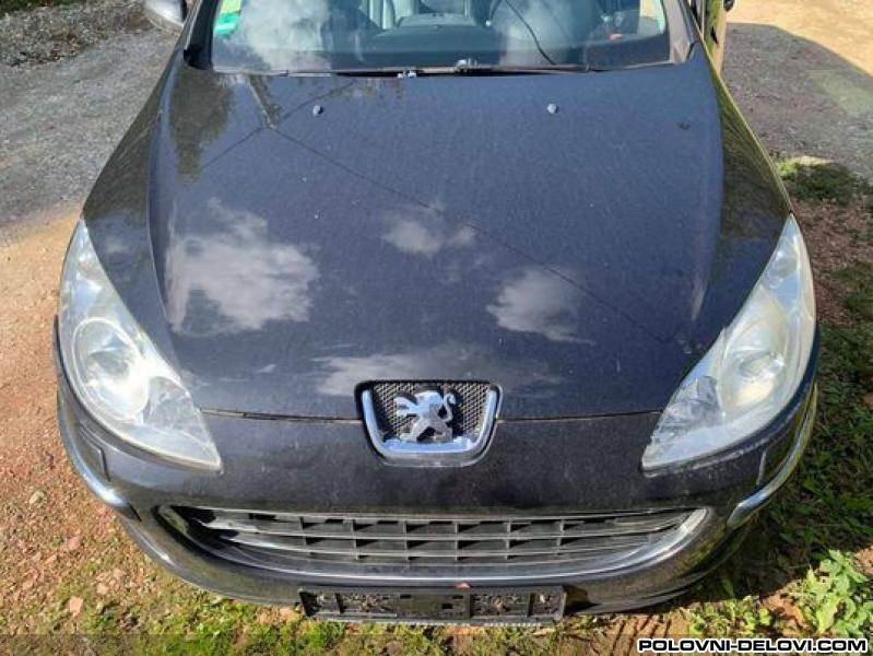 Peugeot  407 Vezni Lim  Prsa Karoserija