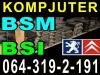 Pezo 607 BSM KOMPJUTER BSI I Razni DELOVI