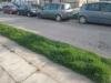 Renault  Scenic 1.5 Dci 1.9 Dci 1.6 Kompletan Auto U Delovima