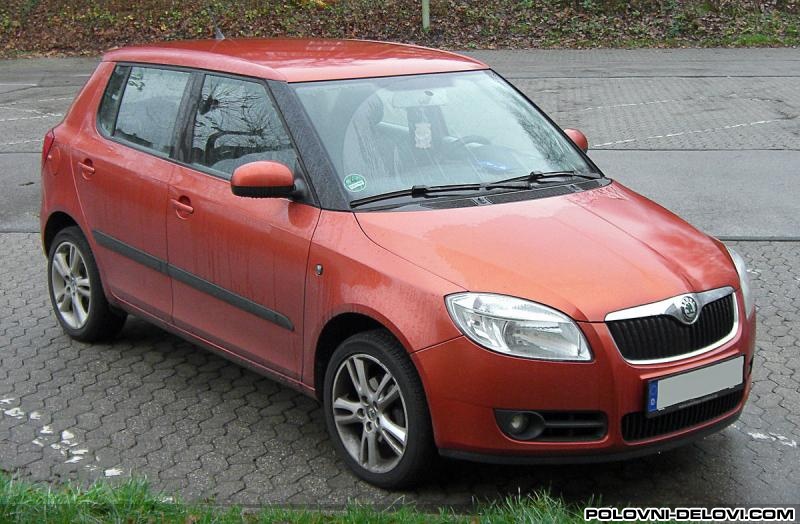 Skoda  Fabia  Amortizeri I Opruge