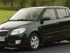 Skoda  Fabia Htp Razni Delovi