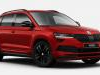 Skoda  Karoq 17-23 Kompletan Auto U Delovima