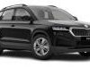 Skoda  Karoq  Kompletan Auto U Delovima