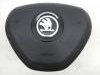 Skoda  Octavia Airbag Enterijer
