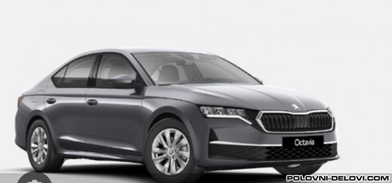 Skoda  Octavia  Karoserija