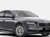 Skoda  Octavia  Karoserija