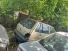 Suzuki  Maruti  Stakla
