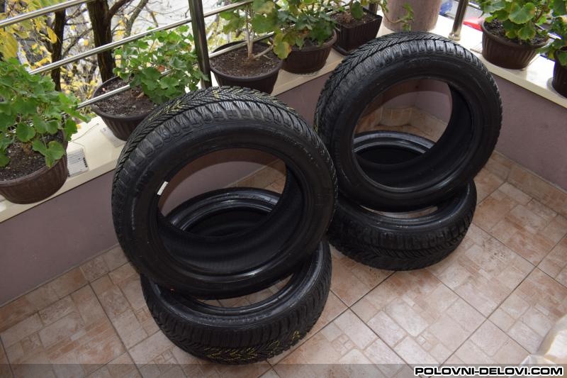 Zimske gume R16x205x55